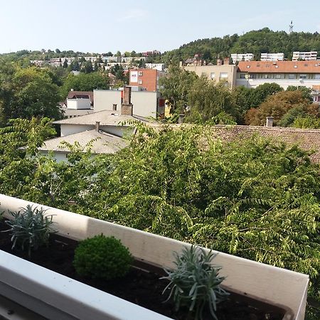 Málnás Macska Apartman Szekszárd Esterno foto