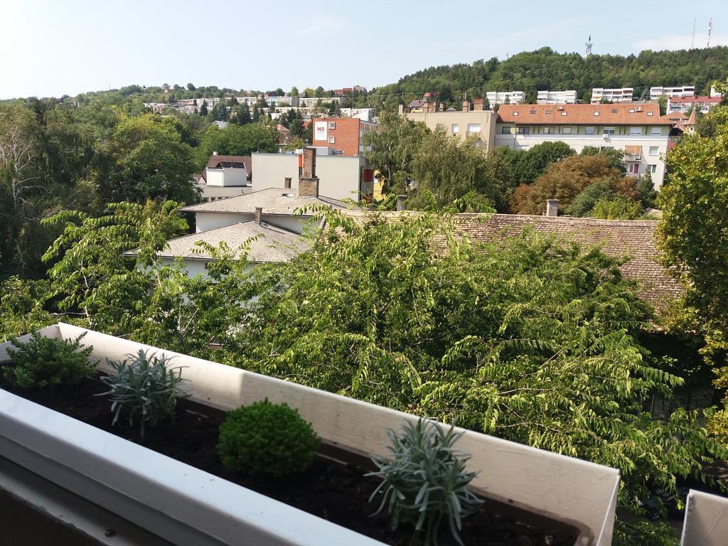 Málnás Macska Apartman Szekszárd Esterno foto